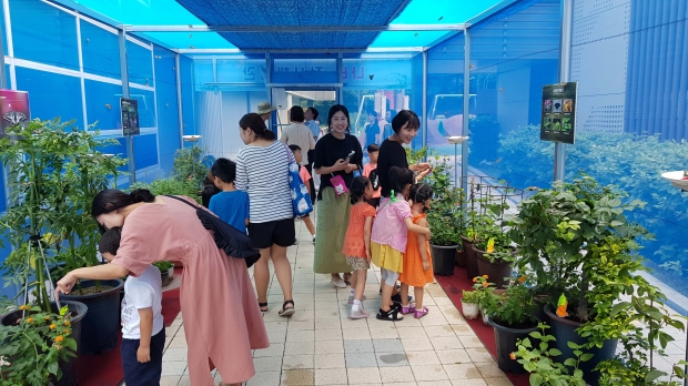 나비 체험 모습