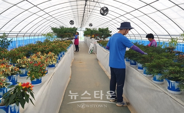 세계고추·산야초 품종전시관