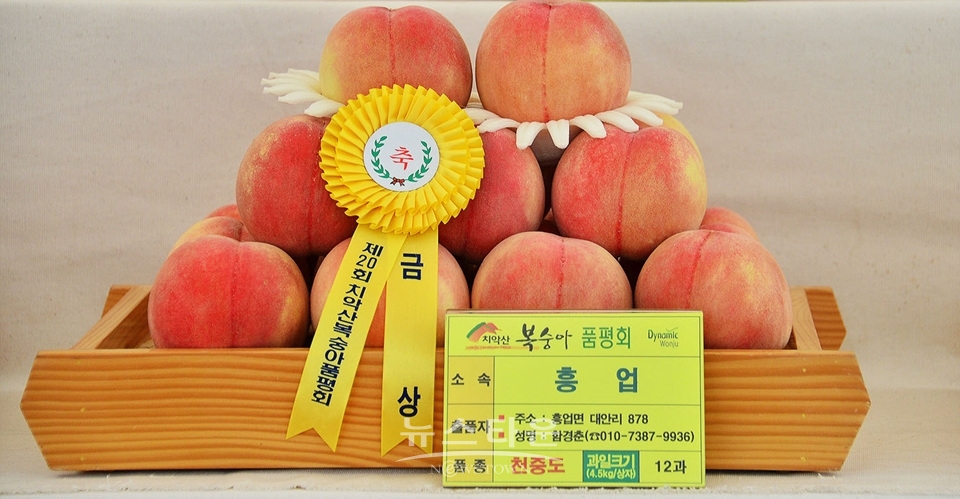 제20회 치악산 복숭아축제