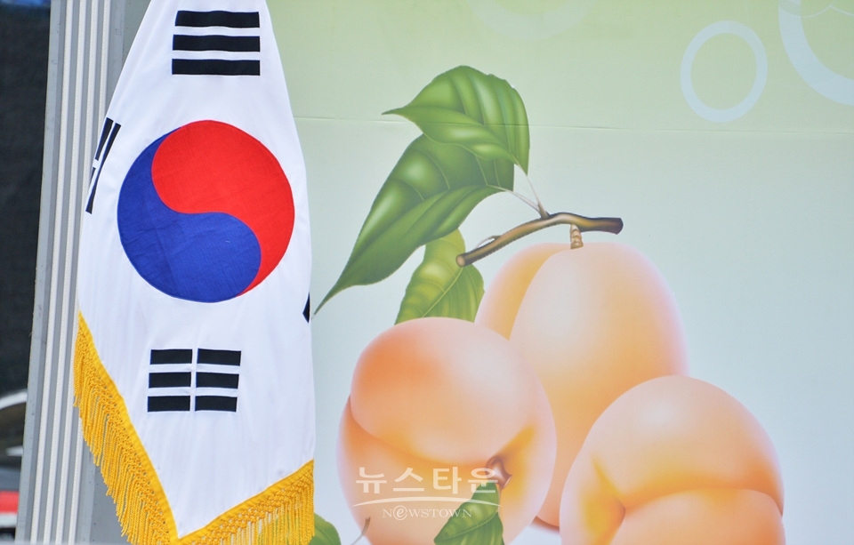제20회 치악산복숭아축제