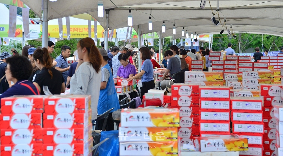 제20회 치악산복숭아축제