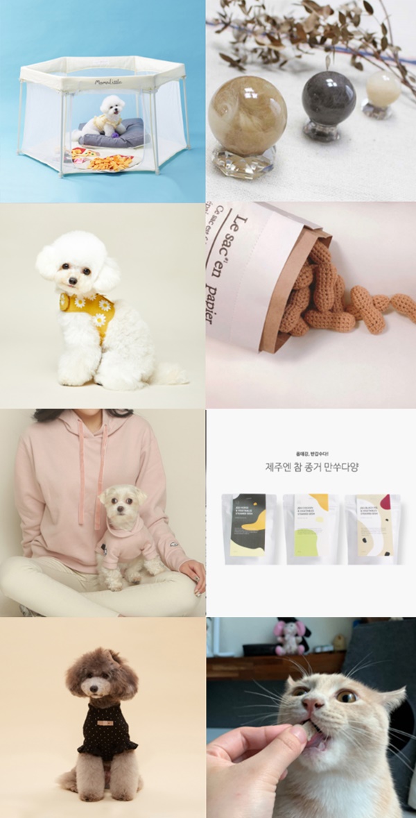 (사진제공: 펫케어)