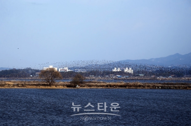 소들섬(무명섬)