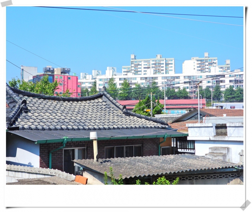 원주 단계동 먹자골목
