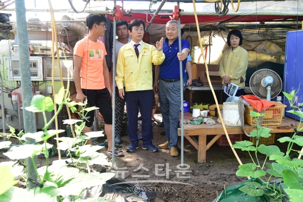 문산읍 이곡리 애호박 비닐하우스 피해지역을 방문한 조규일 진주시장