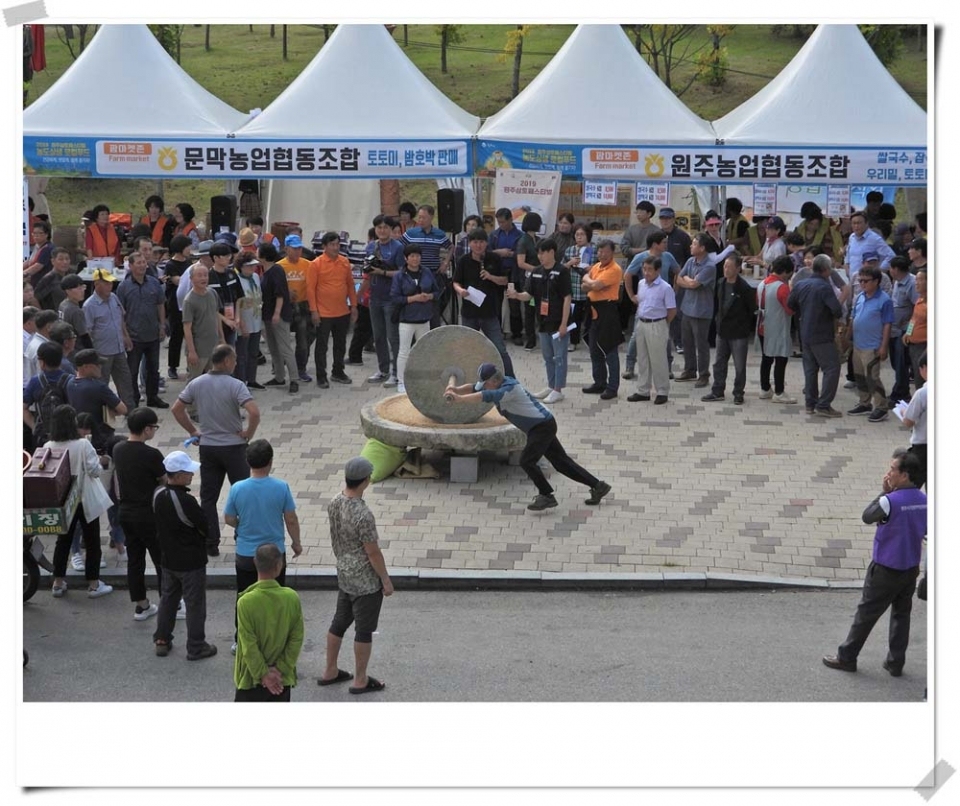 원주 삼토패스티벌축제