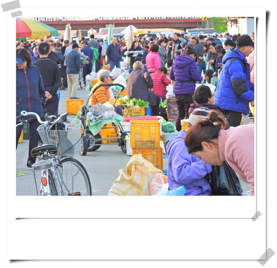 원주의 명물 새벽시장