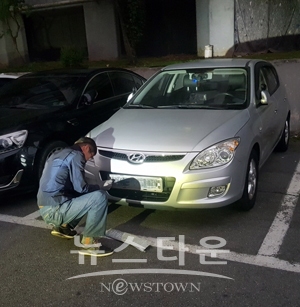 체납차량 번호판 새벽 합동 영치
