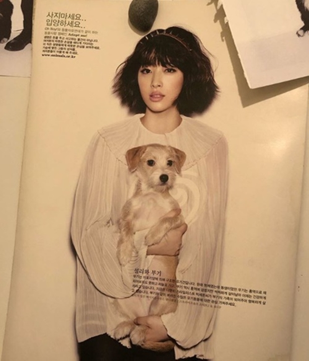 김C, 故설리 추모 (사진 : 김C SNS)