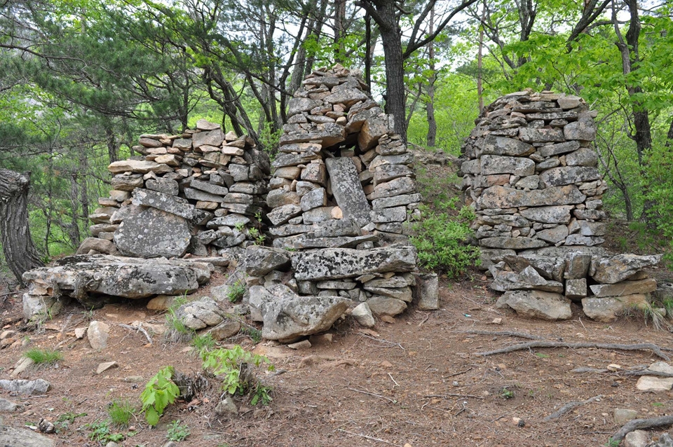 한계산성