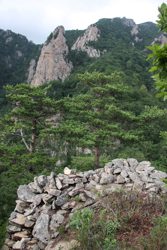 한계산성