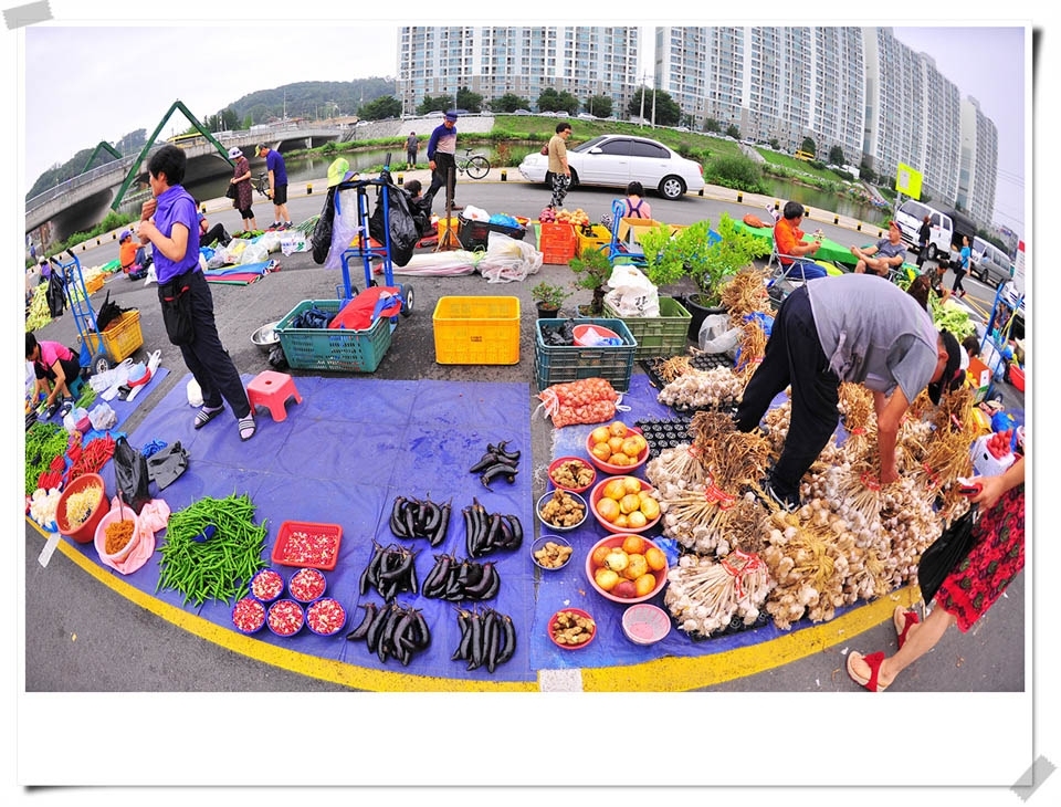 원주 새벽시장 풍경