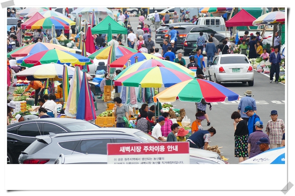 원주새벽시장 풍경