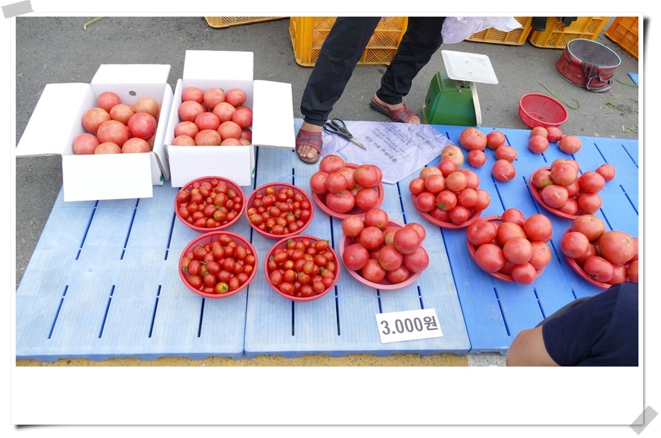 원주새벽시장 풍경