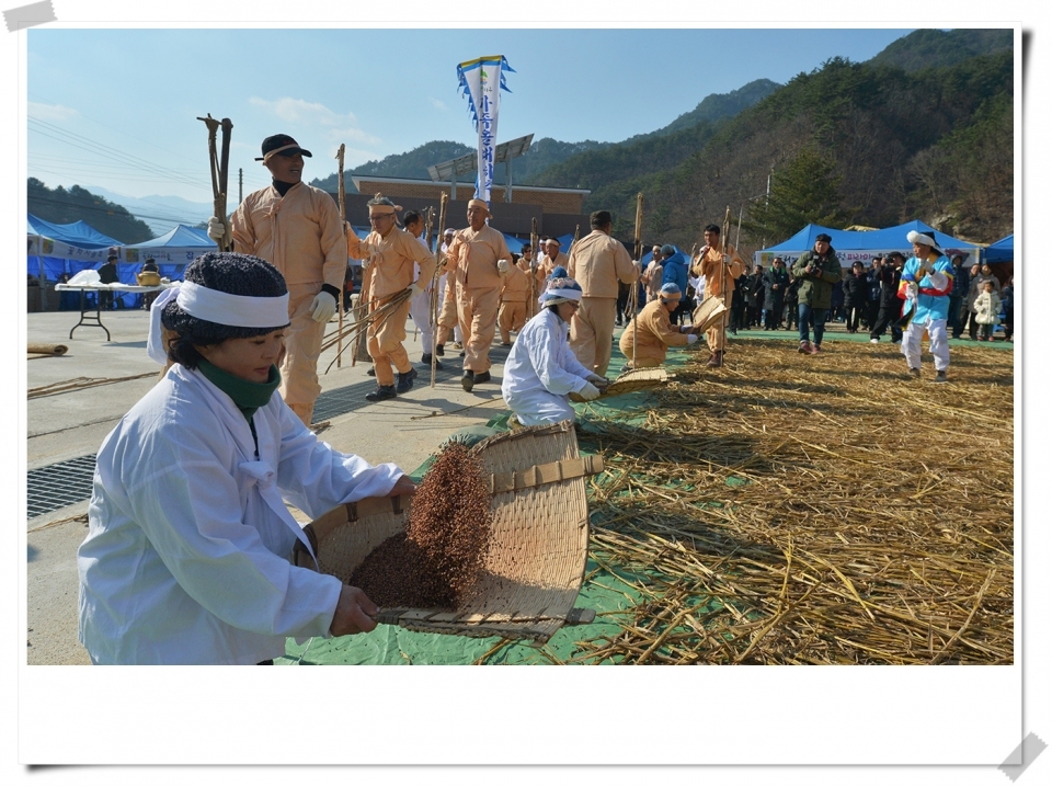 지난해 축제 자료사진임