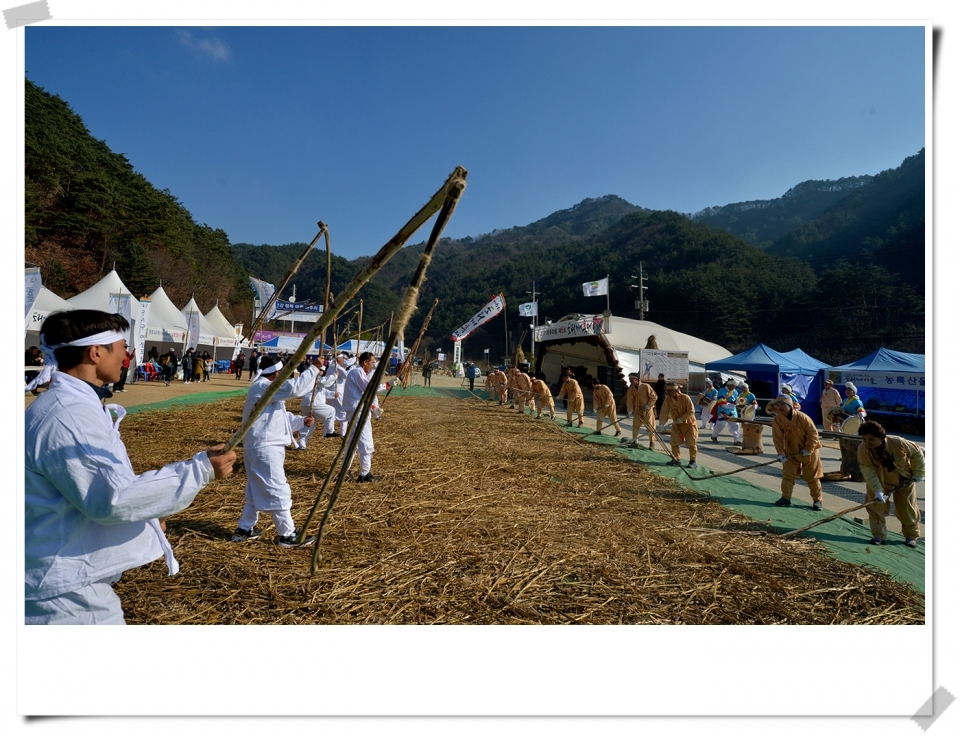 지난해 축제 자료사진임