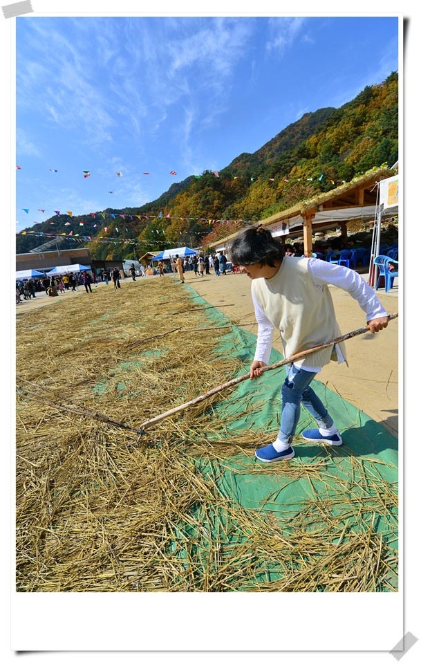 하추리도리깨축제