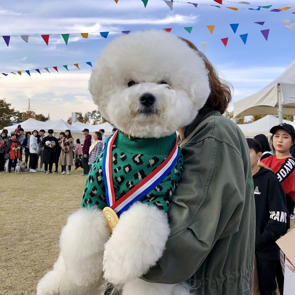 (사진 : 펫케어)