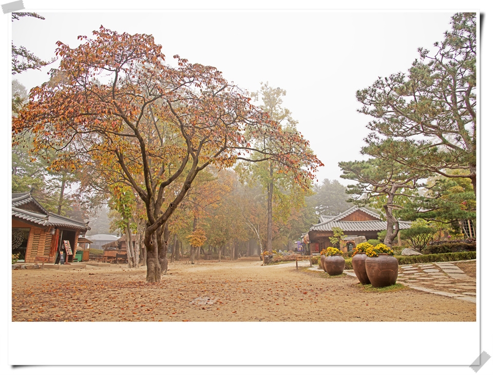 사진 : 남이섬 제공