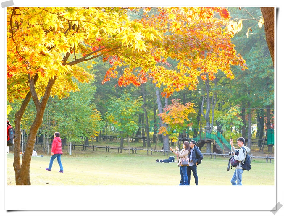 사진 : 남이섬 제공