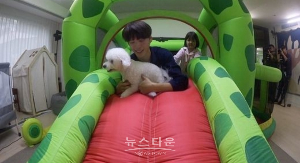 사진 = ‘똥강아지들’ / 고득용기자 ⓒ뉴스타운