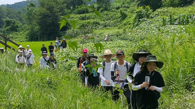 청소년 자기포상제 프로그램
