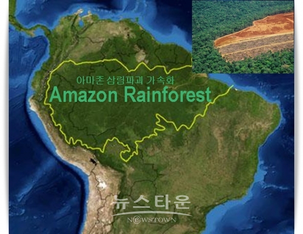 이번에 농업 부문에 행운 사슬(Lucky chain)이 시작된 것은 2018년 초부터이다. 결과를 예측하기 어려웠던 선거 때문에 헤알화가 하락하고, 수출 조건이 유리해졌다. 이후 헤알의 대(對)달러 시세가 약 25%나 하락한 가운데 농업 부문은 동요하고 있던 브라질 경제를 지탱하는 중요한 역할을 했다.