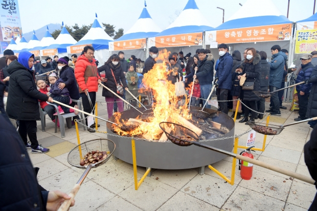 군밤축제장(2019년)
