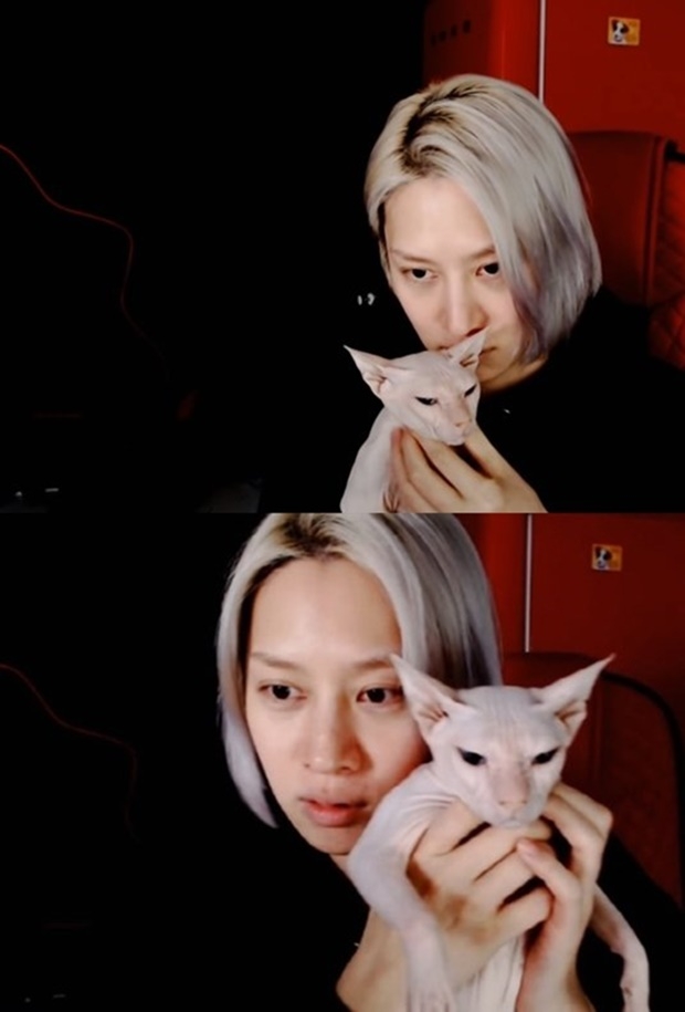김희철 설리 고양이 고블린 입양 (사진: 김희철 유튜브)