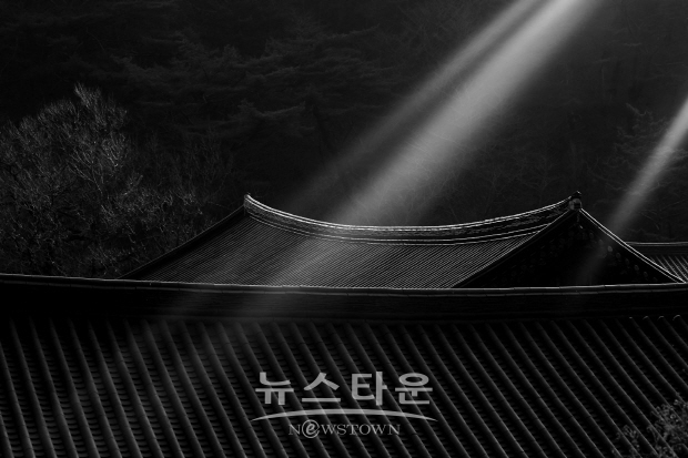 원춘호 사진전 ‘천년 와(瓦)’(김한정 기자)