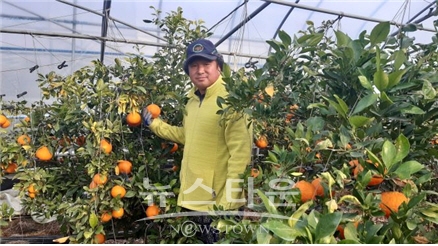 진주시 수곡면에서 레드향을 하우스 재배하고 있는 이성환씨