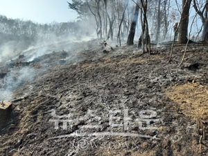 산불