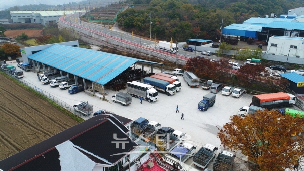 이반성면 가축경매시장