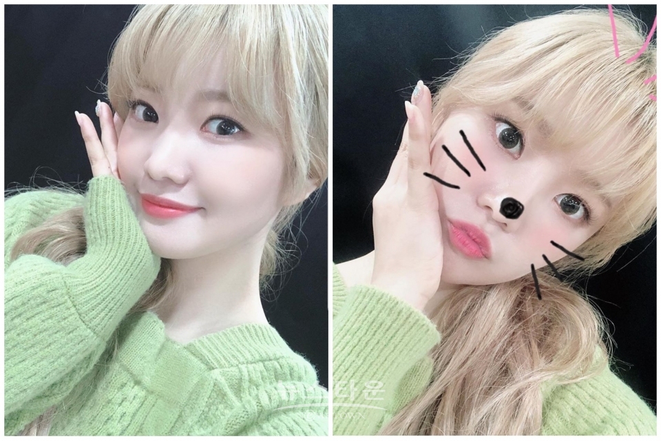 사진 출처: 추화정 sns / 고득용기자 ⓒ뉴스타운