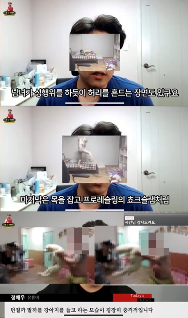 BJ 동물학대 논란 (사진: 유튜브 '정배우 : 사건사고이슈' 채널)