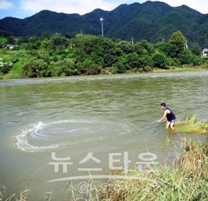 쏘가리 금어기 집중단속