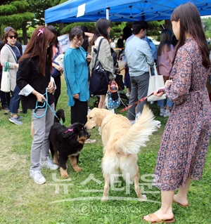 반려동물 행사
