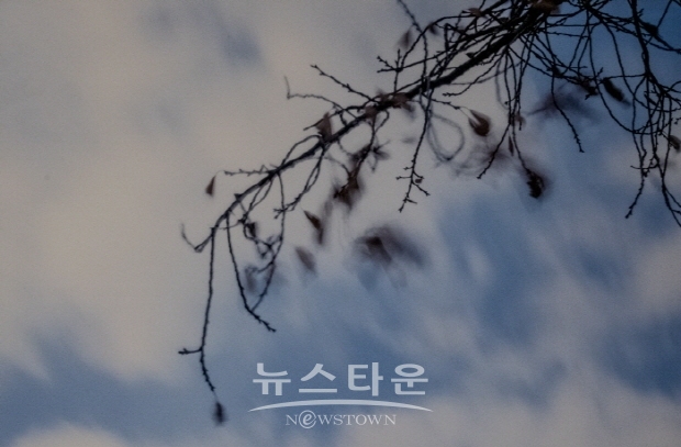 박종현 사진작가의 ‘바람의 꿈’(김한정 기자)