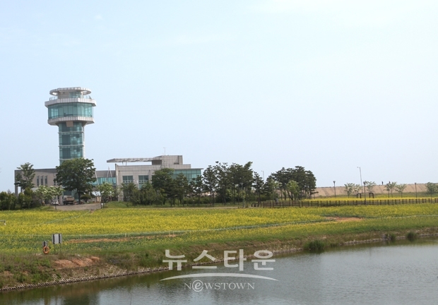 석문 유채꽃 경관단지