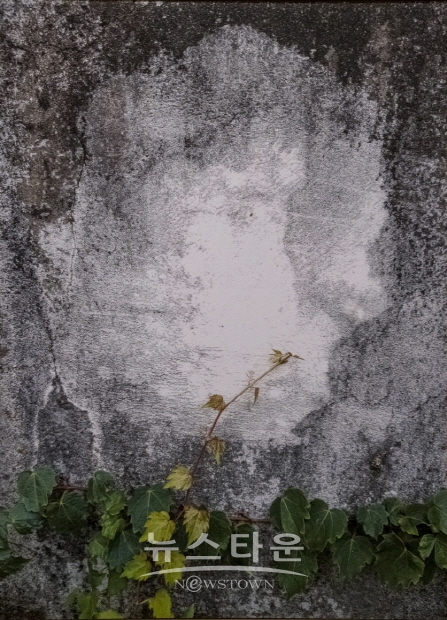 박경순 사진전 '담유화’(김한정 기자)