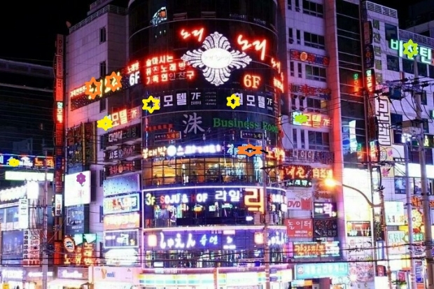 해당 사진은 기사와 무관함