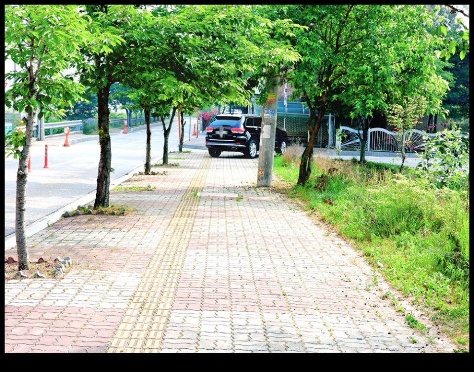 양심불량 불법주차 차량