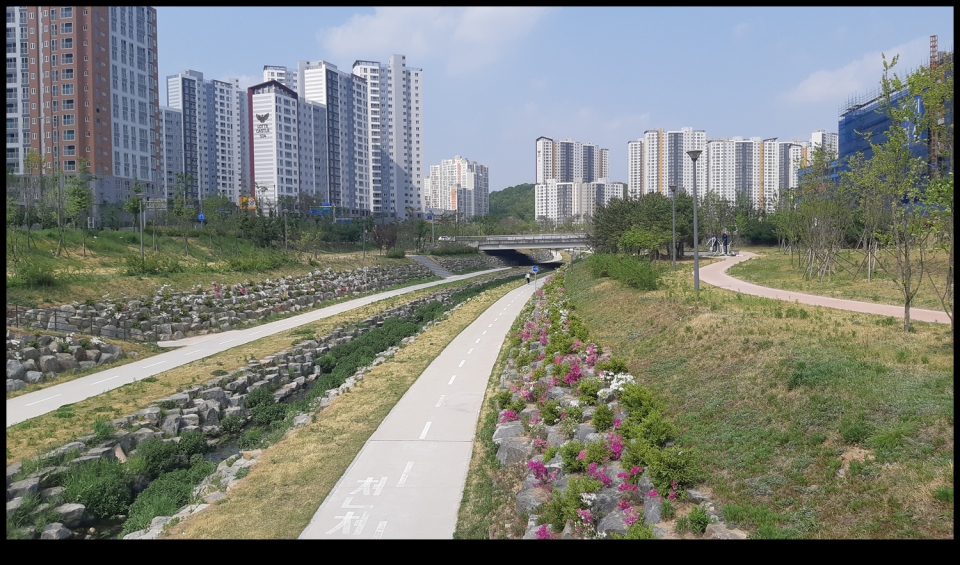가곡천의 밤과 봄(春)