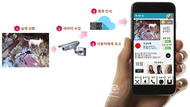 반려동물 감정 인식 모바일 앱