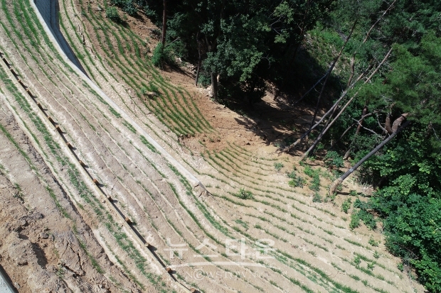 산림청은 올해 산사태 피해지에 산림용 드론을 투입해 과학적이고 체계적인 산림재해 진단을 계속 할 예정이다(사진-산림청)