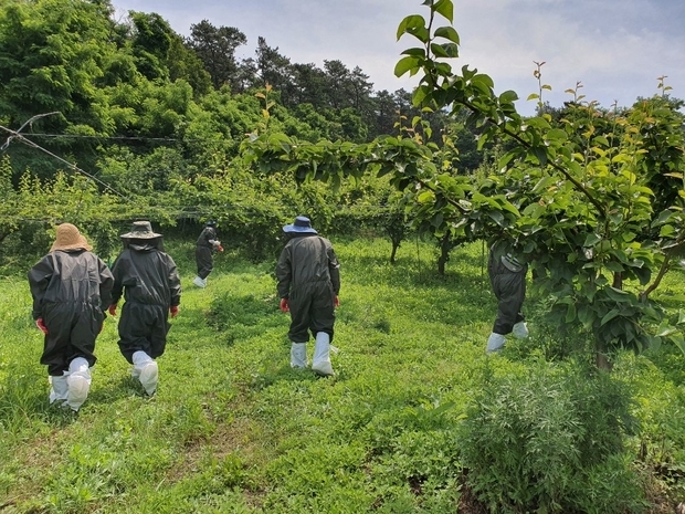 과수화상병 예찰