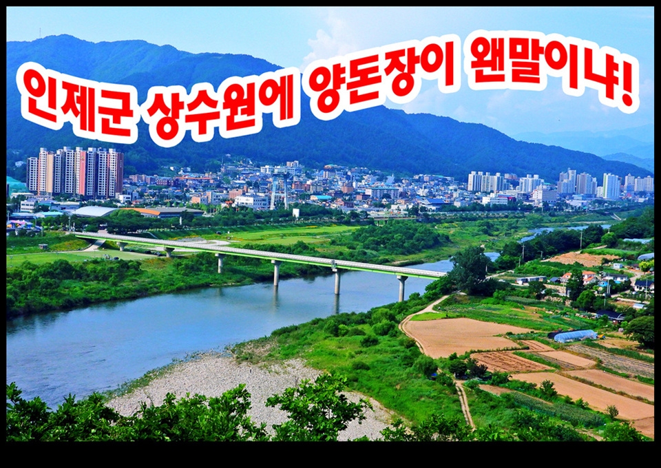 인제군. 읍민들 축사신축반대 집회