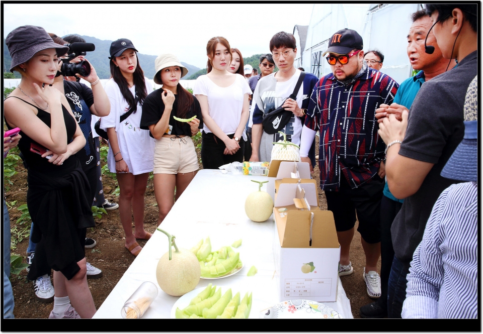 최상기 인제군수, SNS 온라인 마케팅‘인제홍보단(SNS인플루언서&개그콘서트 개그맨 등’이 지난 19일)귀둔리 멜론농가를 방문해 멜론 수확체험을 하고 있다.