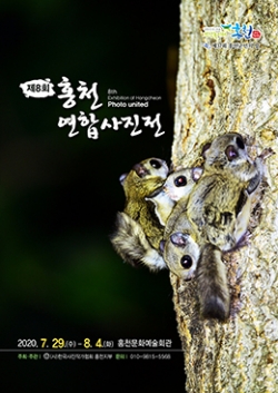 홍천 연합사진전