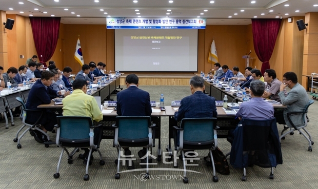 ‘축제 콘텐츠 개발 및 활성화 방안 연구용역’ 중간 보고회